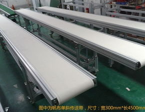 厂家直销 高效可靠的食品自动化双皮带流水线解决方案